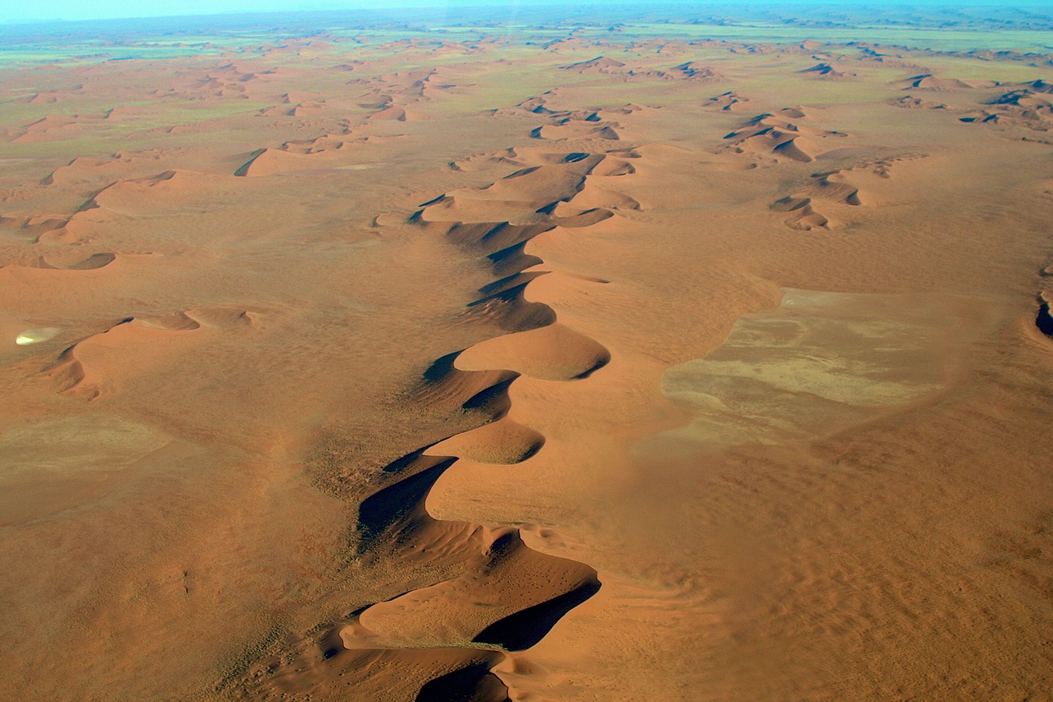 NAMIB