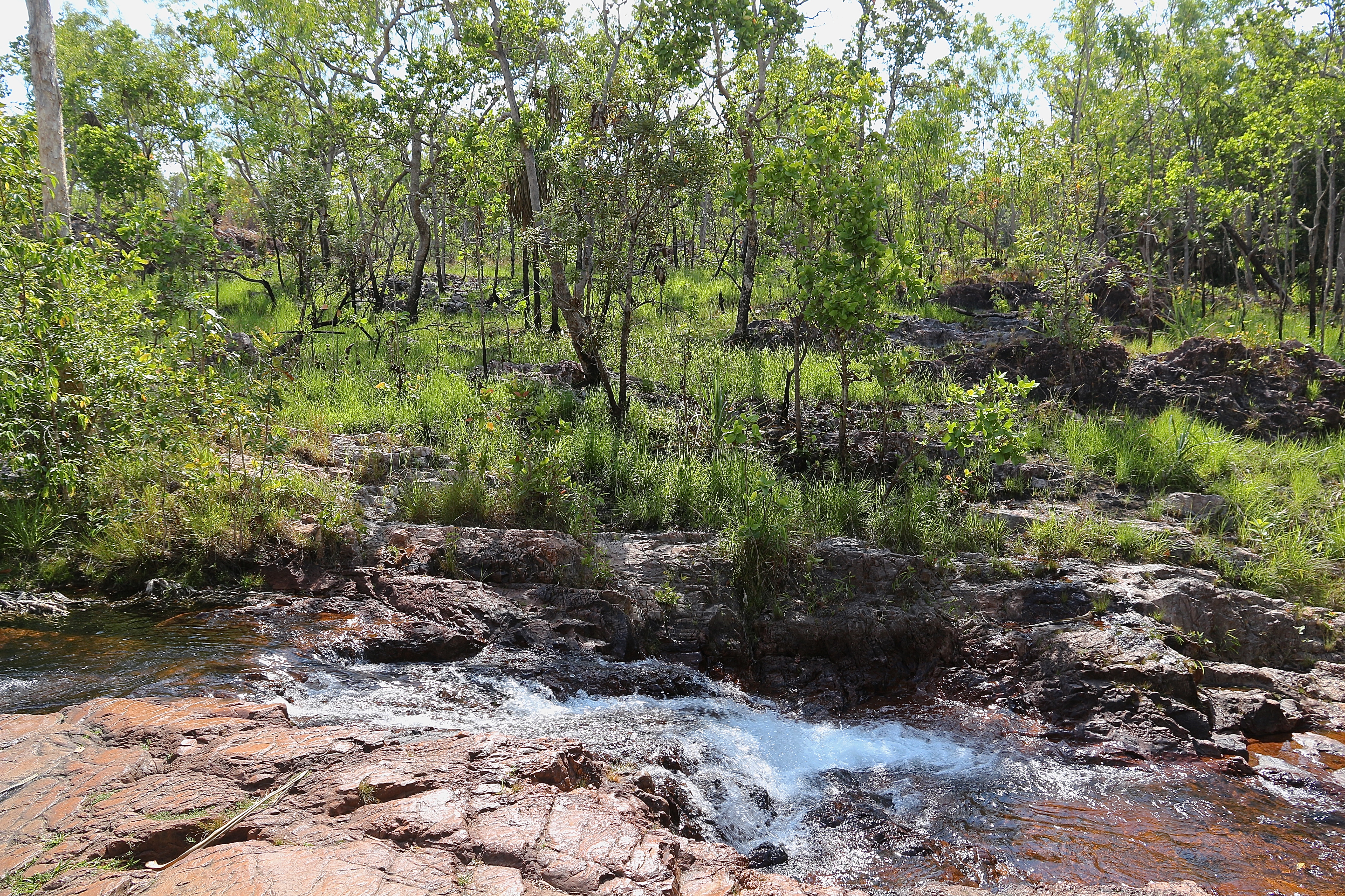 LITCHFIELD NATIONAL PARK