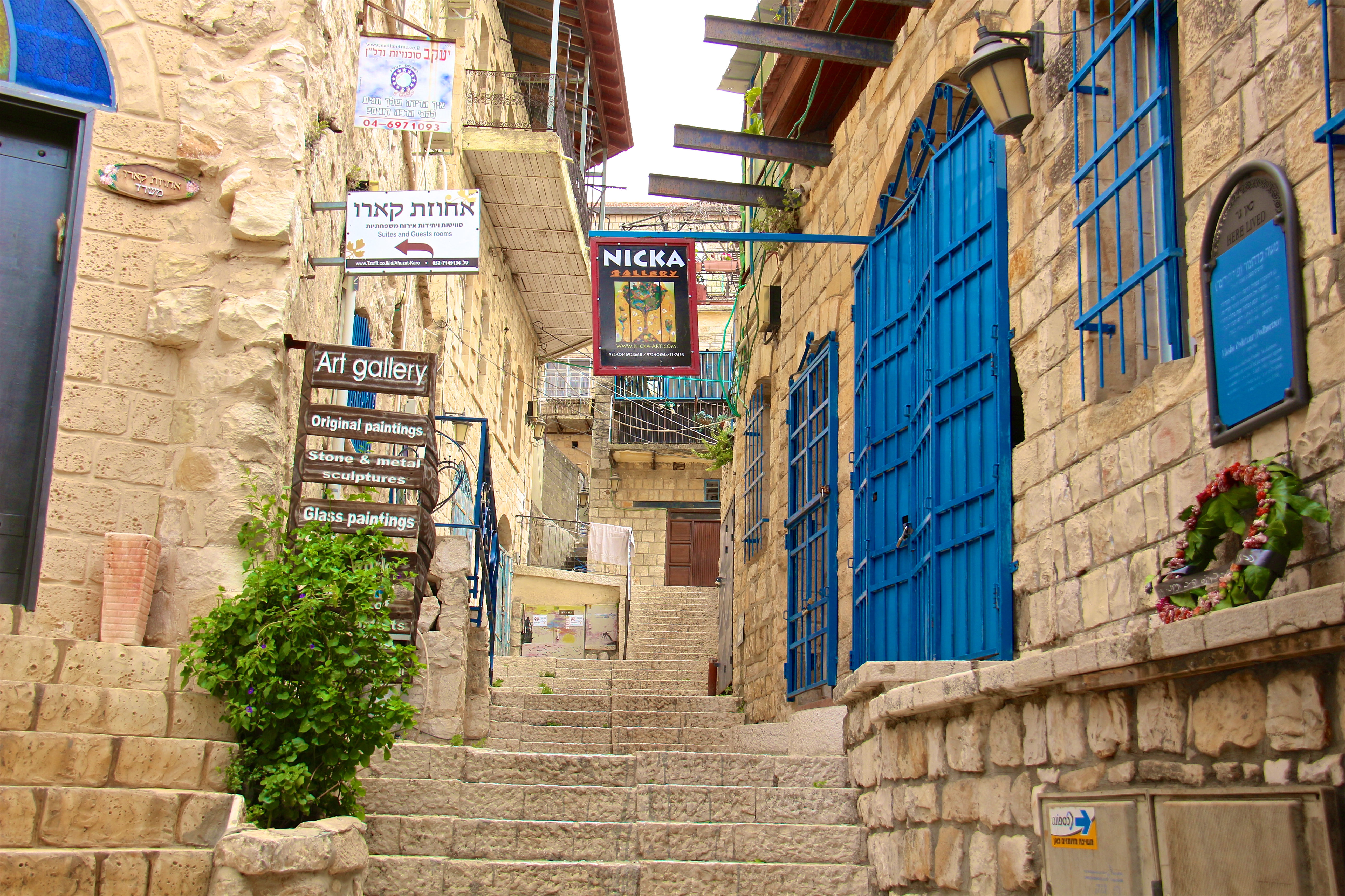 SAFED