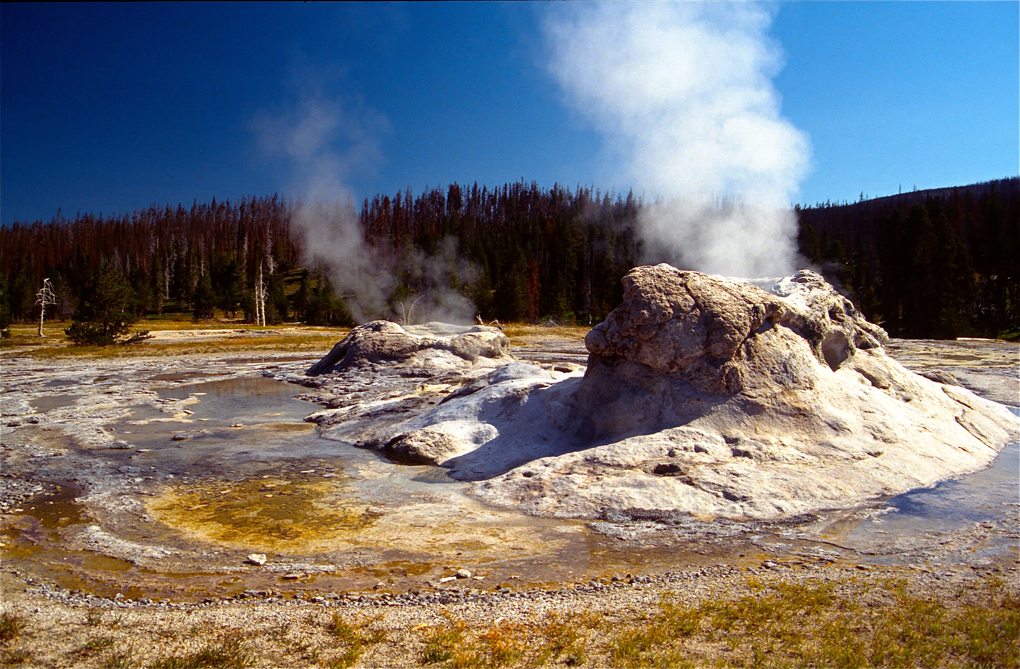 YELLOWSTONE NATIONAL PARK