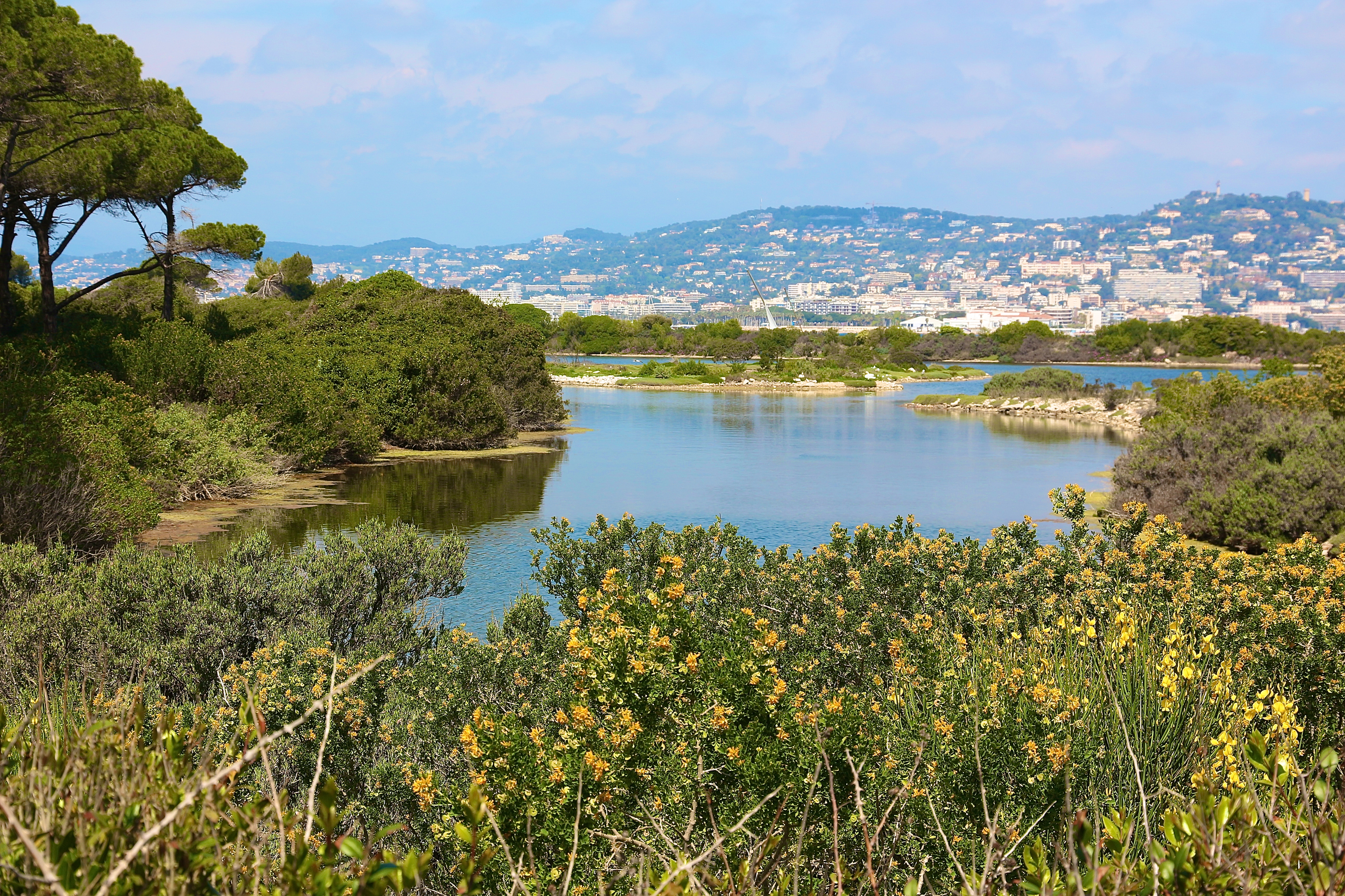 L'ÎLE SAINTE-MARGUERITE