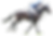 IMG_5187.png