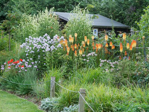 July and the NGS