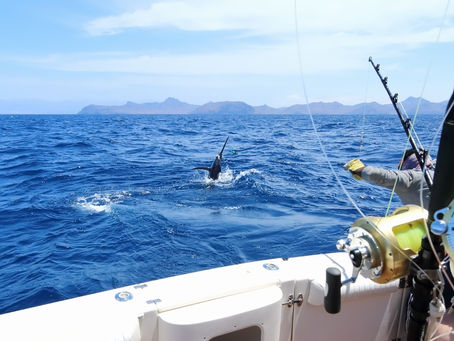 Lake Texoma Fishing-The Ultimate Guide for You