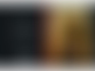 coger el toro por las rastas