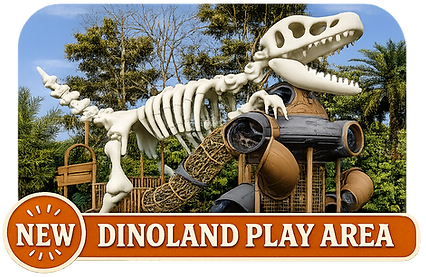 New Dinoland Play Area.png