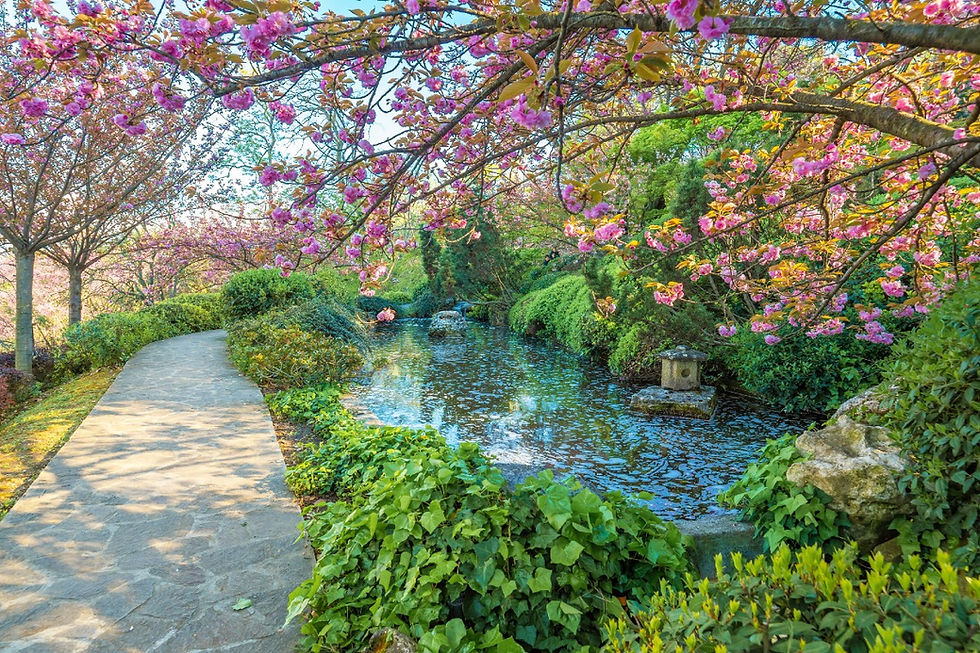 orto-botanico-roma.jpg