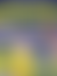 King Dome Kolsch Poster