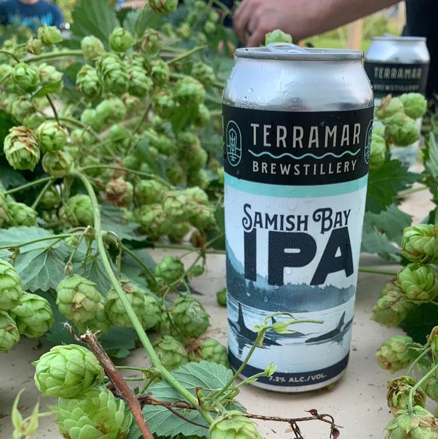 terramar fresh hop beer