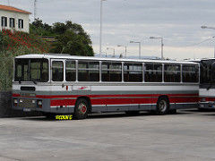 Leyland_do_caniço