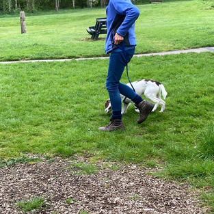 CLAIRE & DARWIN LOOSELEAD WALKING.jpeg
