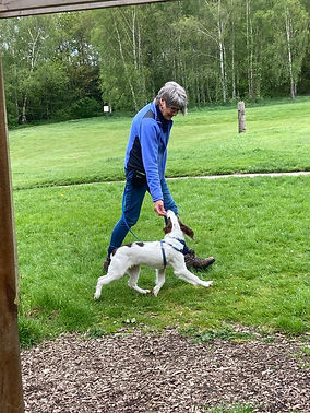 CLAIRE & DARWIN LOOSELEAD WALKING 1 .jpeg