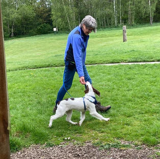 CLAIRE & DARWIN LOOSELEAD WALKING 1 .jpeg