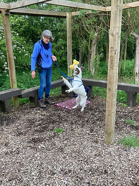 CLAIRE & DARWIN PLAYING .jpeg