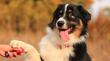 shutterstock_740843314.jpeg