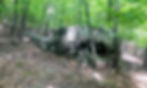 Lewis Hollow Serpent Row and Head