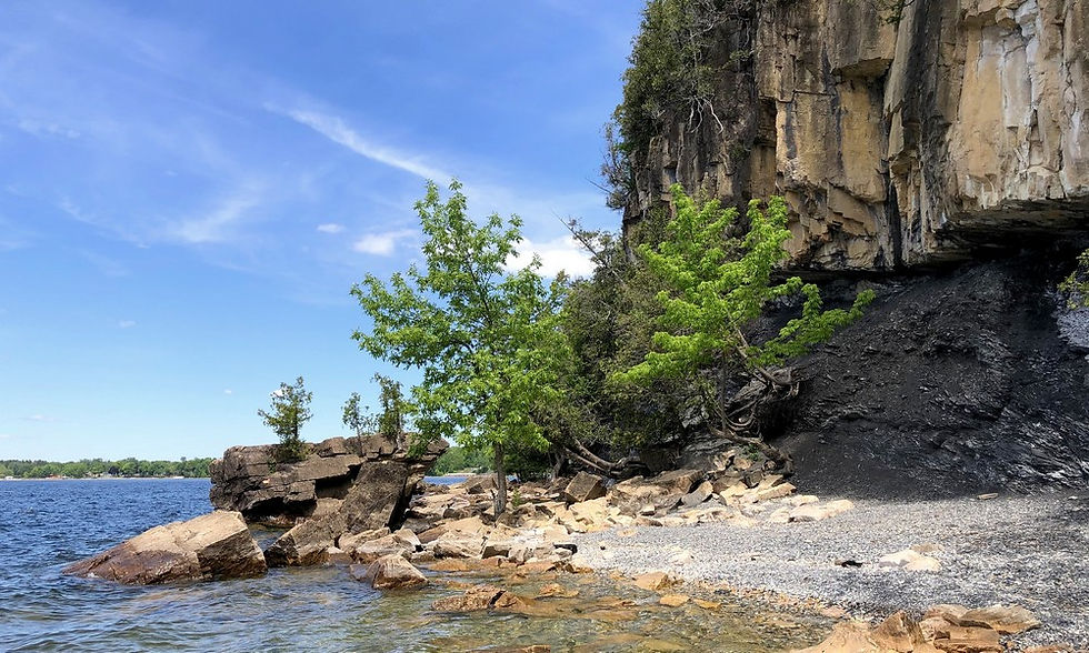 Science Can Be Beautiful