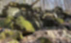Niquette Bay Serpent Row Head/End