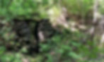 Calendar One Stone Chamber