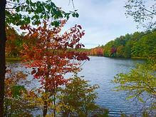 New Hampshire17-10-2019 at 11.24.56 34.j