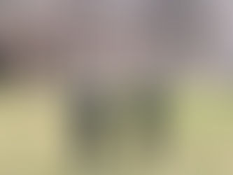 Placement Post: Clare with MPP Norm Miller