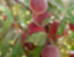 Azure Lifestyle20230818_421.jpg