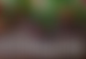 Join Us For Lessons & Carols At Both Services This Week (9:30am & 11:00 am)