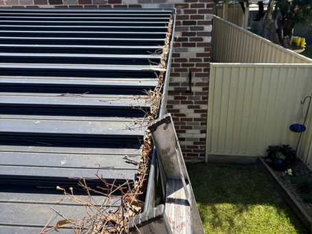 Gutter and Roof-Edge Clean-Out in Wattle Grove