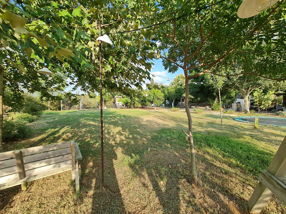 WhatsApp Image 2023-08-28 at 13.43.49