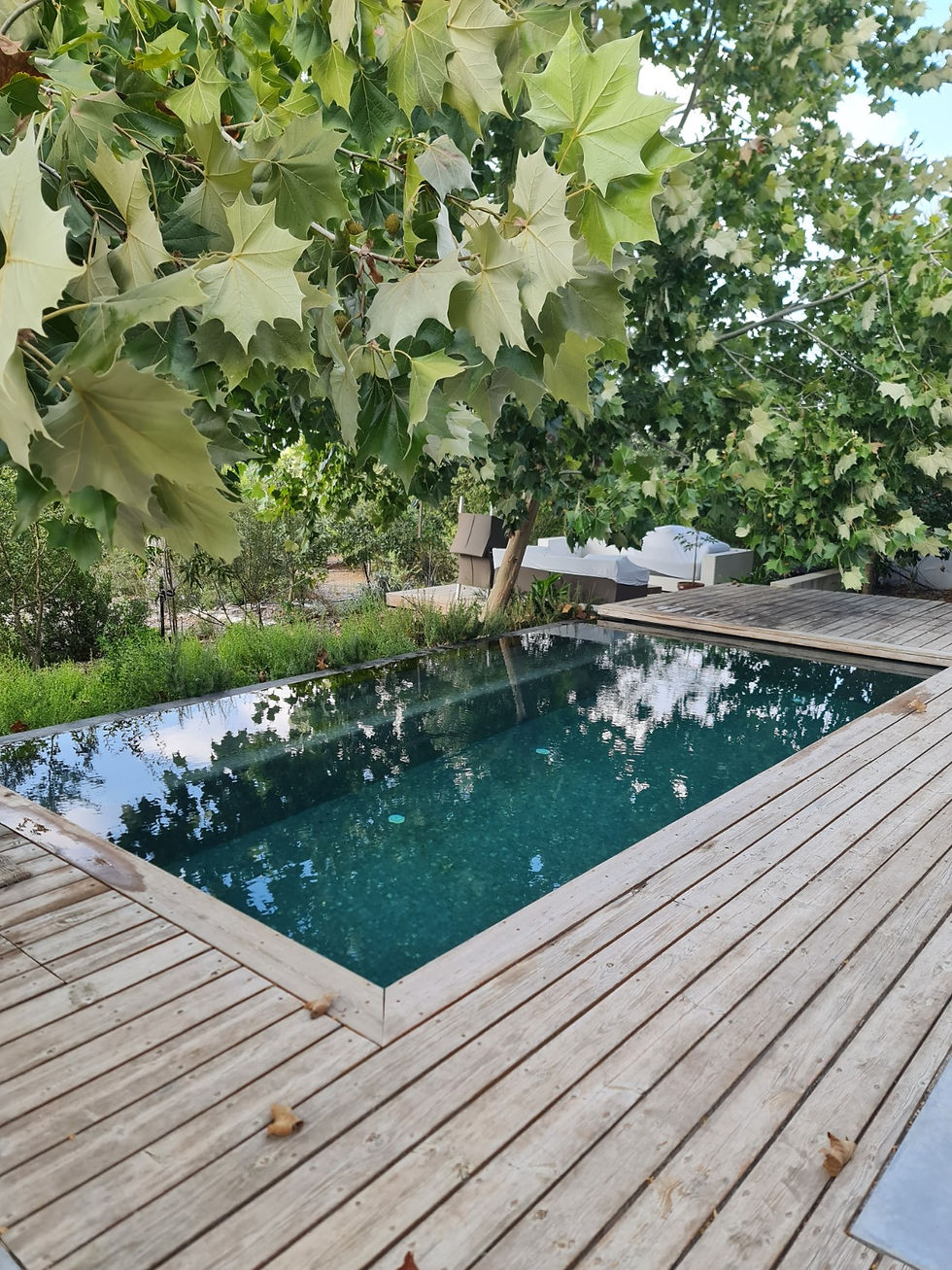 WhatsApp Image 2023-08-28 at 13.43.46