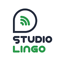 Studio lingo medium - Iliko Daraselia (1).jpg