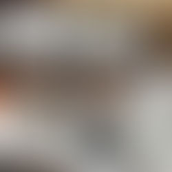 ロイヤル 高速おろし機