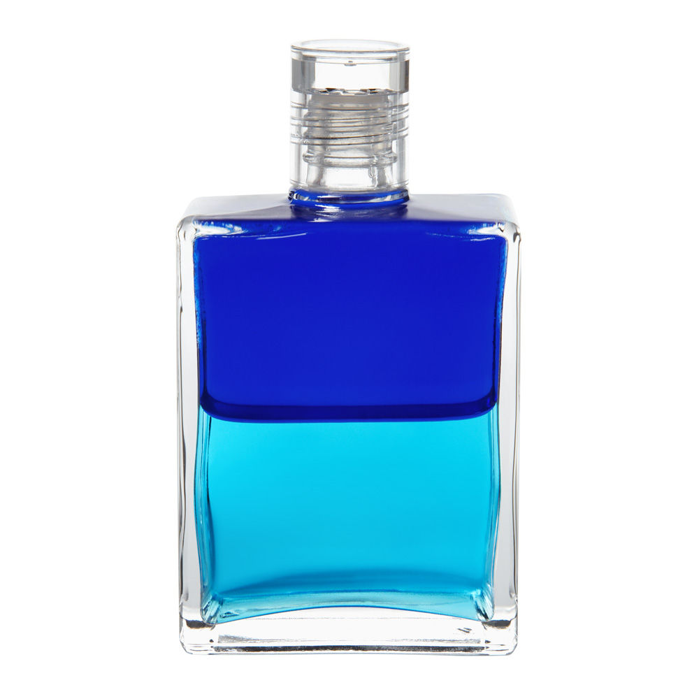 B033 海豚/有目的的和平