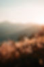 pexels-sunyu-kim-1544884_retusche.jpg