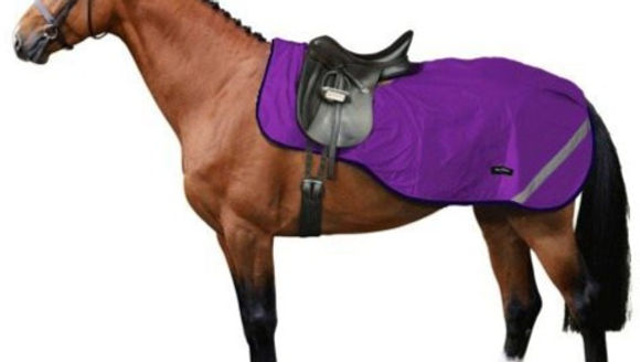 Camisa de ejercicio Bow & Arrow Berlin purple