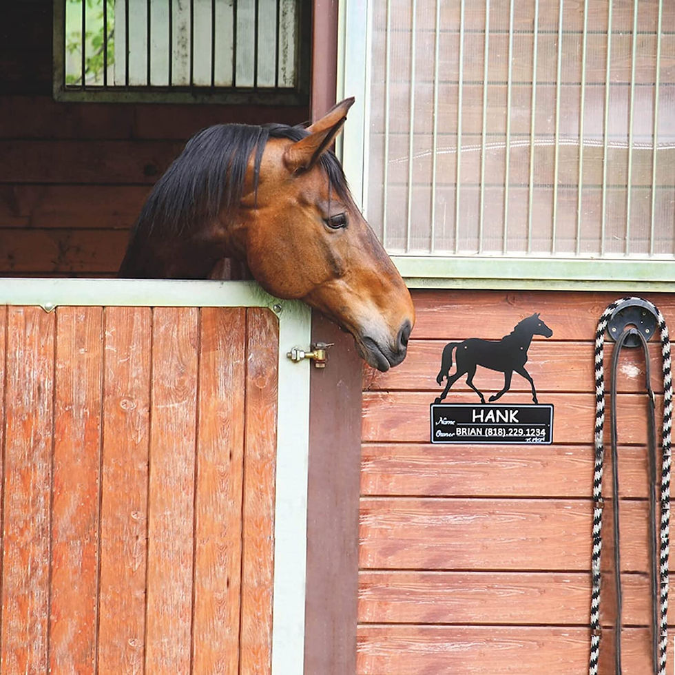 Miniatura: Placa para nombre de caballo black