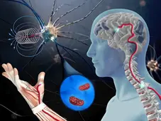 La química de los medicamentos para enfermedades neurodegenerativas