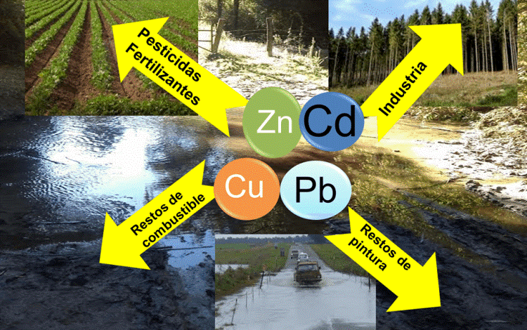 La Plaga Tóxica: La Pesadilla de los Metales Pesados en México