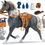 Miniatura: Set de juego Sunny Days Blue Ribbon Champions Deluxe Horse Set Morgan