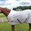 Miniatura: Camisa de paseo antimoscas One Stop Equine BasEq