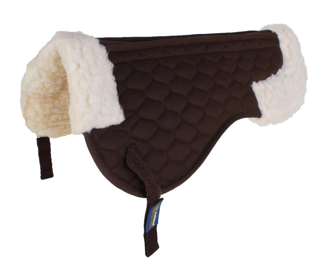 Lomera Professional Equine