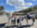 thumbnail_IMG-2163.jpg