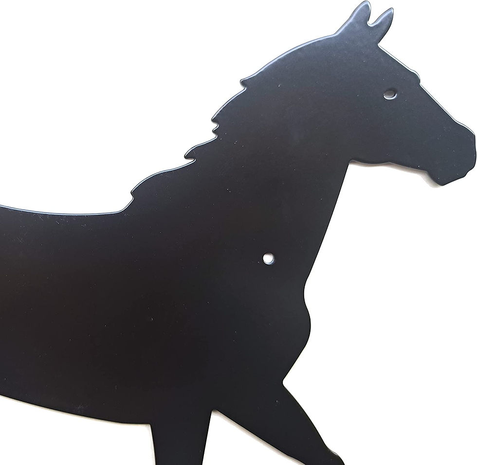 Miniatura: Placa para nombre de caballo black