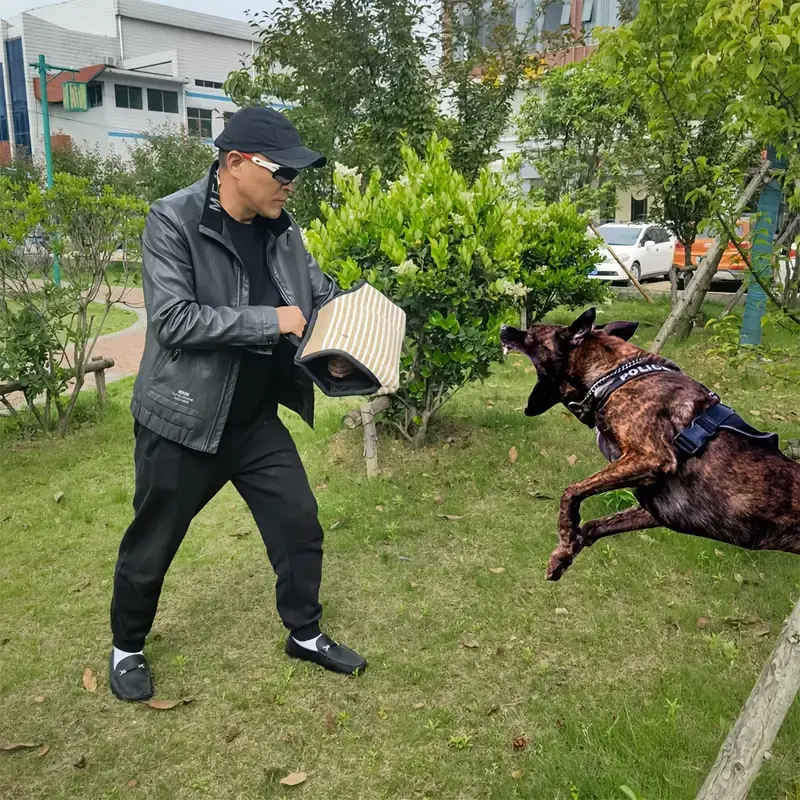 Miniatura: Kit de adiestramiento canino 3 piezas