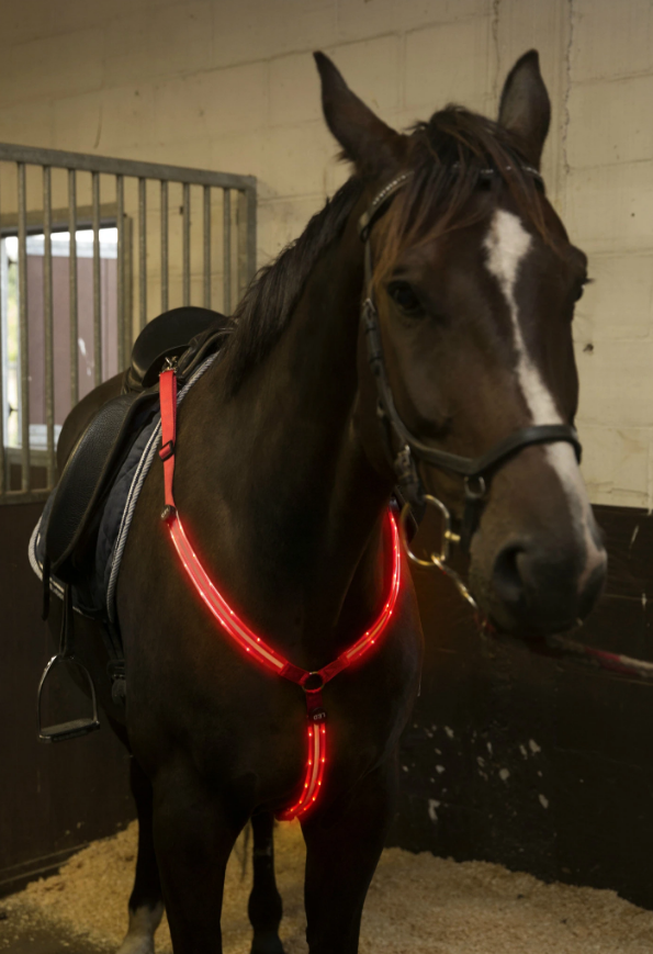 Miniatura: Pechera reflectante LED para caballo