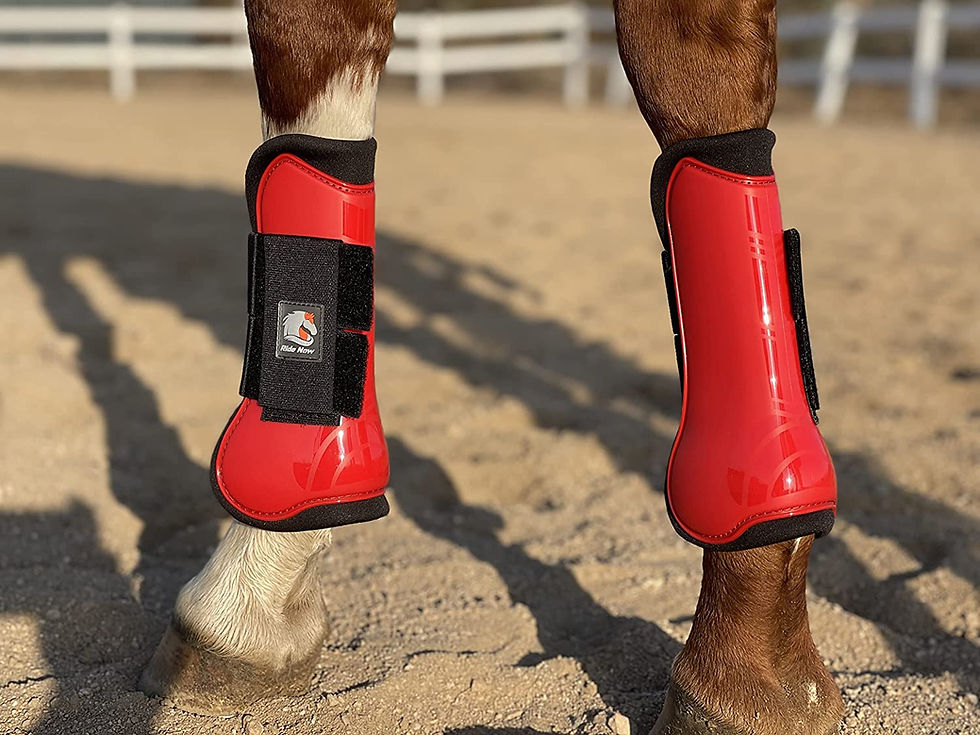 Miniatura: Set de protectores delanteros y traseros Ride Now red