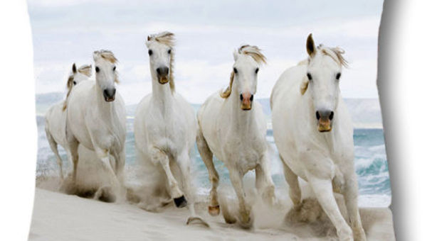 Funda decorativa para almohada Beach Horses