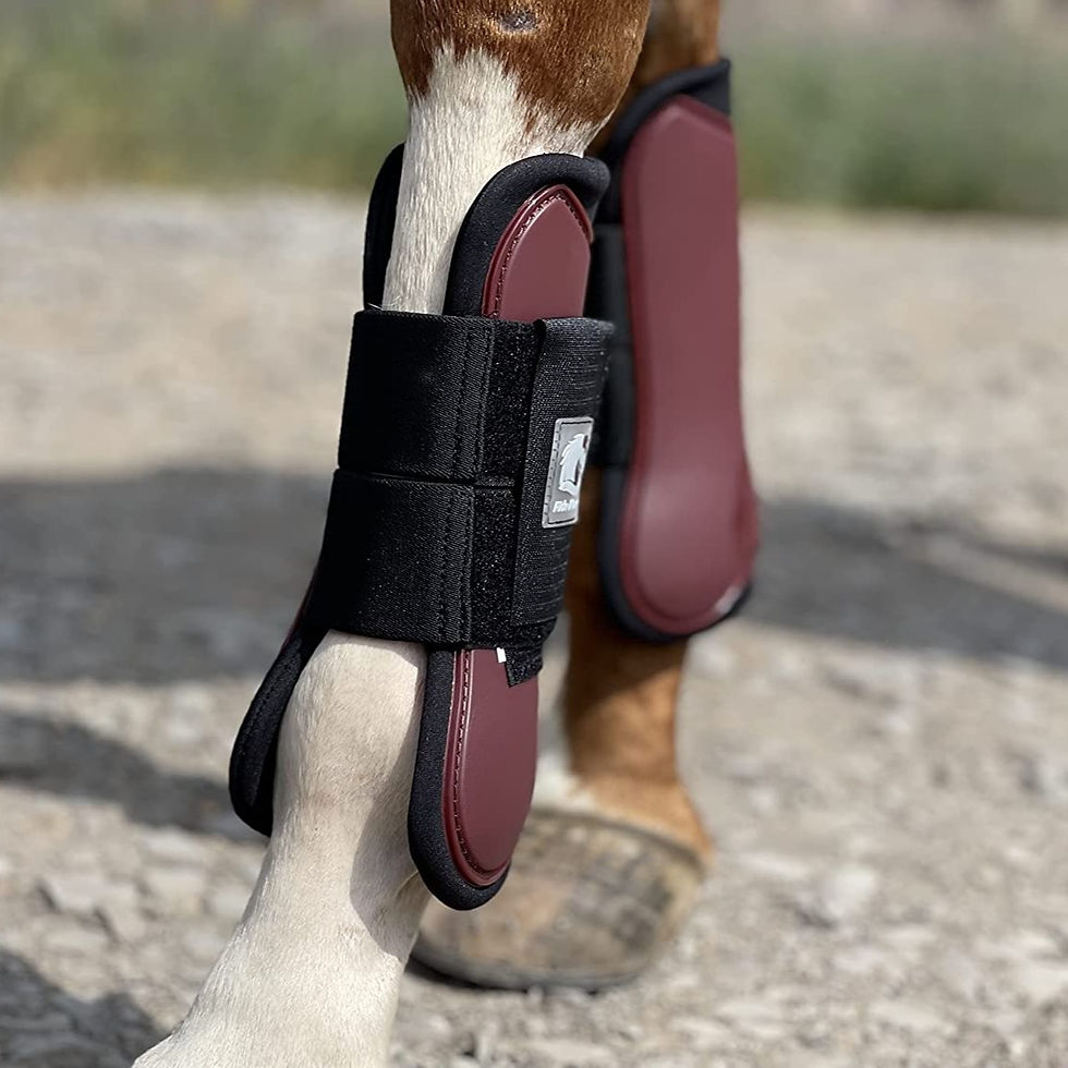 Miniatura: Set de protectores delanteros y traseros Ride Now burgundy