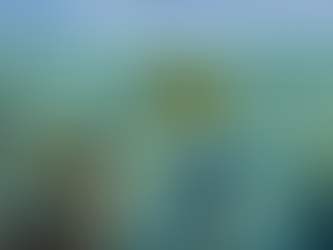 La Era de los Fármacos Contaminantes: Cómo Nuestros Medicamentos Afectan al Ecosistema