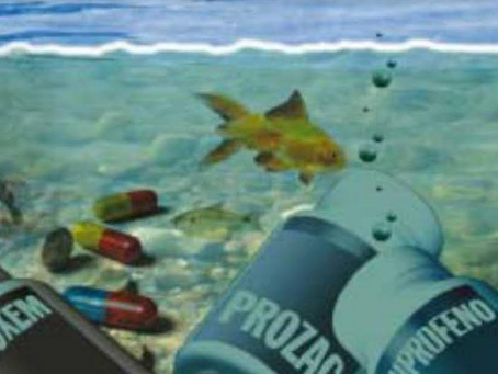 La Era de los Fármacos Contaminantes: Cómo Nuestros Medicamentos Afectan al Ecosistema